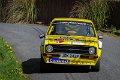 Monaghan Stages Rally 26th April 2015 STAGE 1 (33)